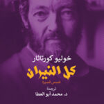 كل النيران